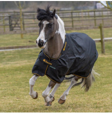 Derka Padokowa Irish Turnout Black/Gold Bucas