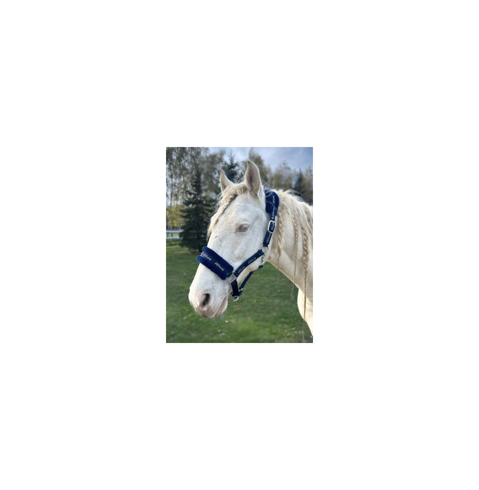 Kantar z Futerkiem Logo Navy HiHorse