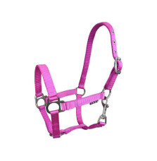 Kantar Źrebięcy York