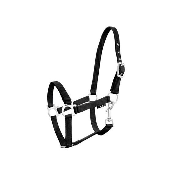 Kantar Źrebięcy York