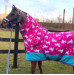 Derka Stajenna Pink Unicorns Ponyo