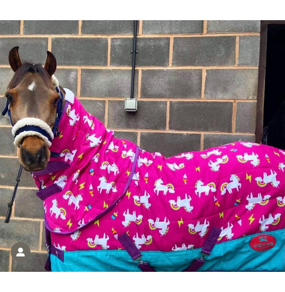 Derka Stajenna Pink Unicorns Ponyo