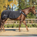 Derka do Karuzeli Keep Walking Equine Microtec