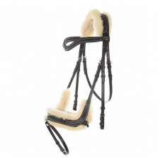 Ogłowie Anatomiczne Ivy Kavalkade