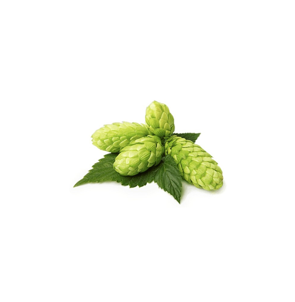 Szyszki Chmielu Equiherbs