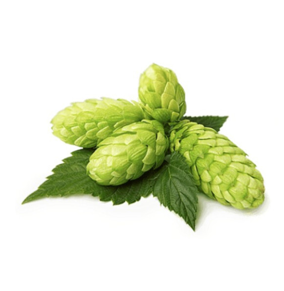 Szyszki Chmielu Equiherbs