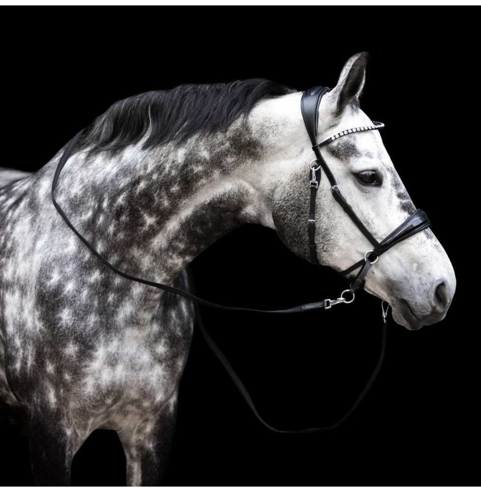 Ogłowie Bezwędzidłowe Multi-Bridle Lola FR Equestrian