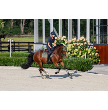 Czaprak Mesh Classic Sports 25 Dusty Olive Eskadron