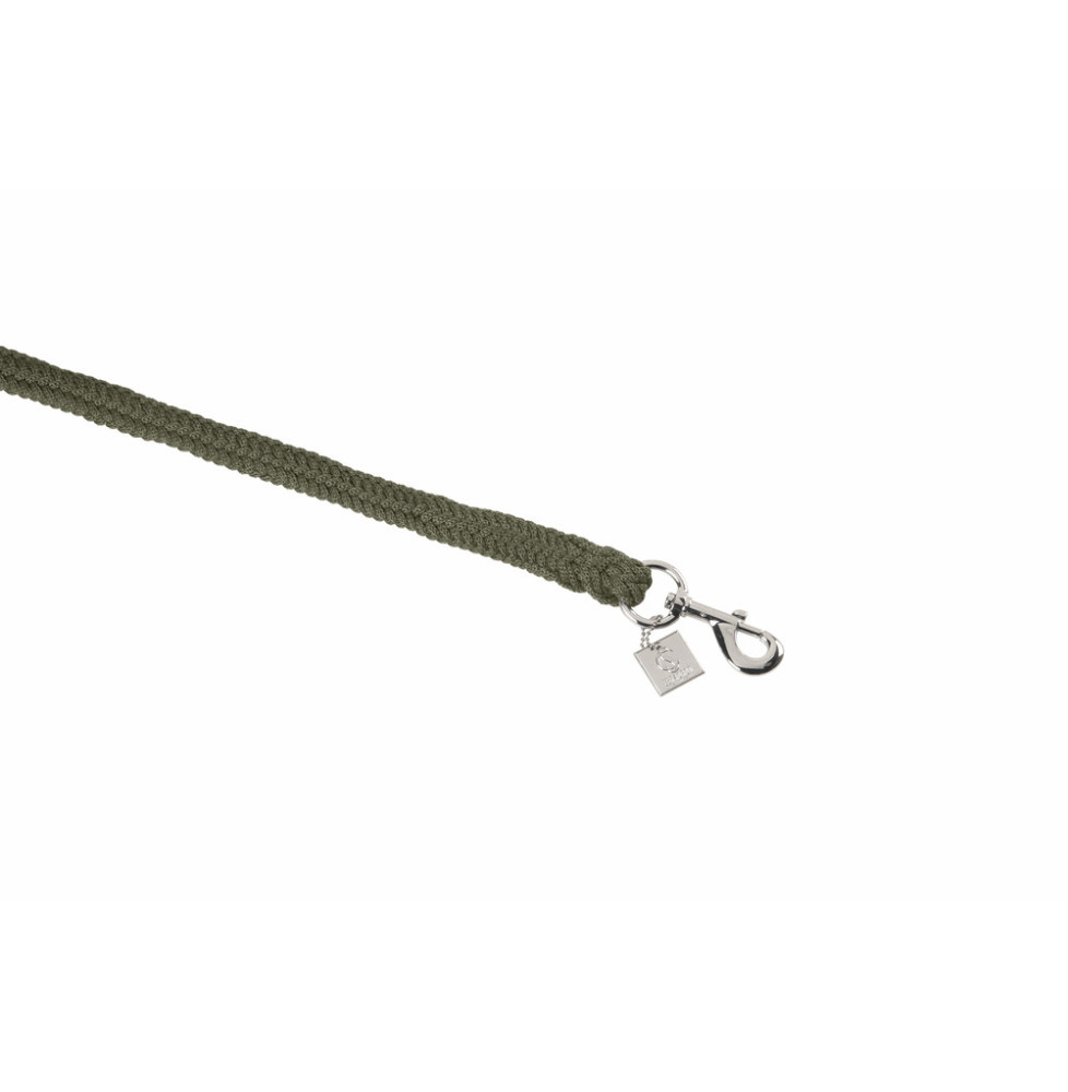 Uwiąz Ze Zwykłym Karabińczykiem Classic Sport 25 Dusty Olive Eskadron