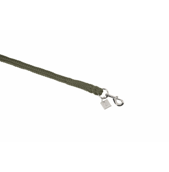 Uwiąz Ze Zwykłym Karabińczykiem Classic Sport 25 Dusty Olive Eskadron