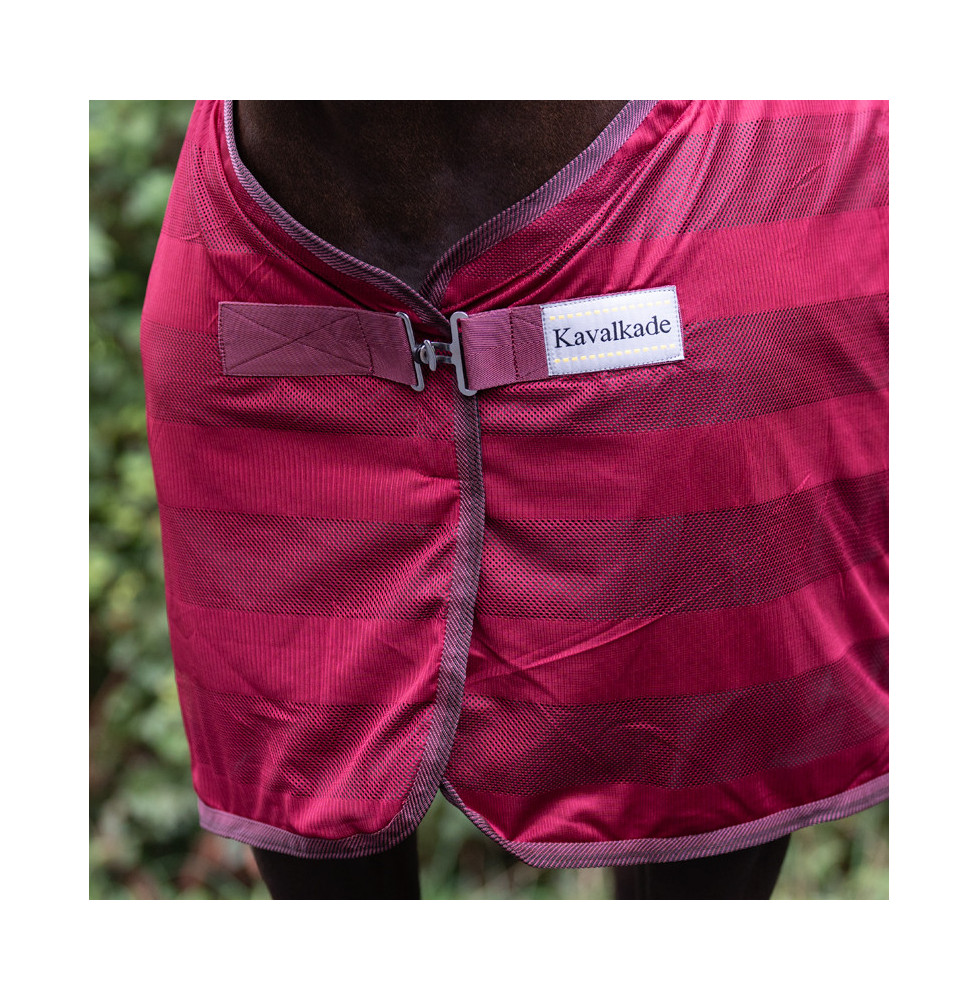 Derka Siatkowa Stripe Kavalkade