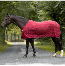 Derka Siatkowa Stripe Kavalkade