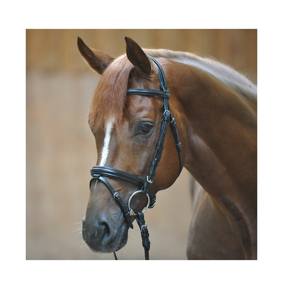 Ogłowie Quentin Shetty Black Kavalkade