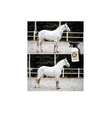 Szampon Bez Spłukiwania Suchy Doctor Horse