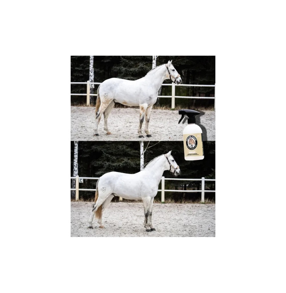 Szampon Bez Spłukiwania Suchy Doctor Horse