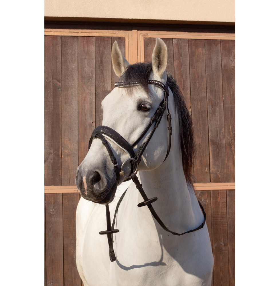 Brokatowe Ogłowie Glitter Black Savio