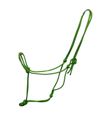 Halter Lime Favori Pet Shop