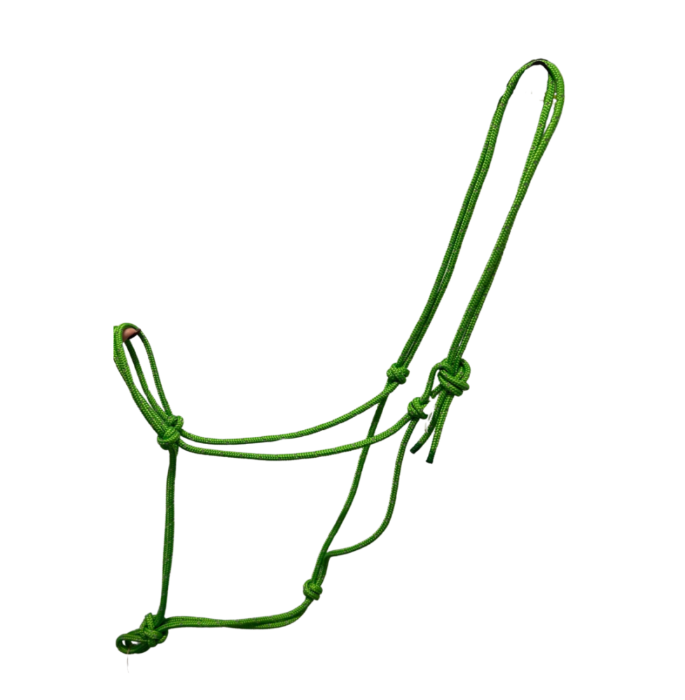 Halter Lime Favori Pet Shop