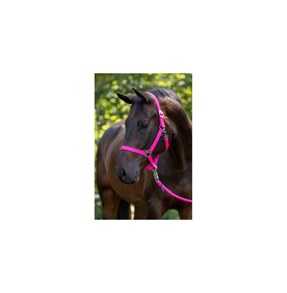 Kantar Hippo Pink Covalliero