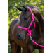 Kantar Hippo Pink Covalliero
