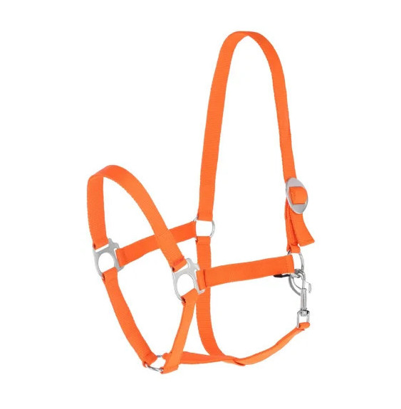 Kantar Hippo Orange Covalliero