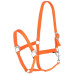 Kantar Hippo Orange Covalliero