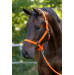 Kantar Hippo Orange Covalliero