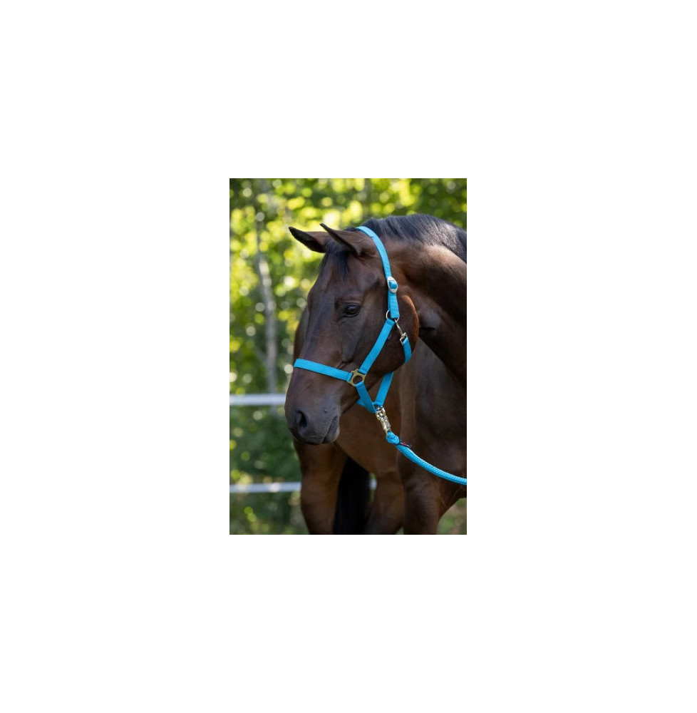 Kantar Hippo Blue Covalliero