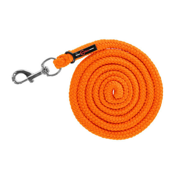 Uwiąz ze Zwykłym Karabińczykiem Hippo Orange Covalliero