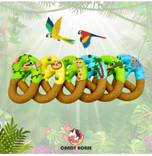 Precle Jungle 2025 Candy Horse