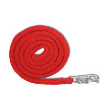 Uwiąz z Bezpiecznym Karabińczykiem Economic Red Waldhausen