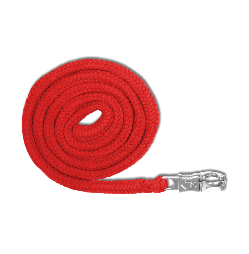 Uwiąz z Bezpiecznym Karabińczykiem Economic Red Waldhausen