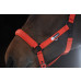 Kantar Sparkle Poppy Red Dynamic 25 Eskadron