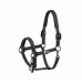 Kantar Sparkle Black Dynamic 25 Eskadron