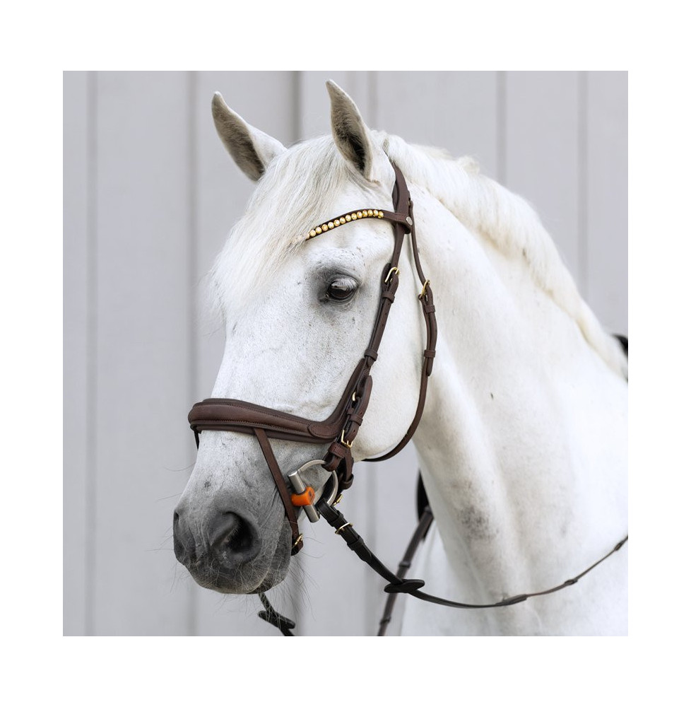 Ogłowie Anatomiczne Caliano Brązowe Kavalkade