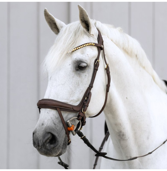 Ogłowie Anatomiczne Caliano Brązowe Kavalkade