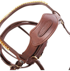 Ogłowie Anatomiczne Caliano Brązowe Kavalkade