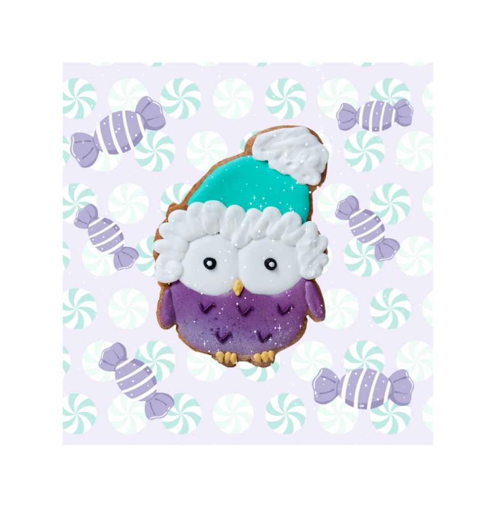 Ciasteczko Owl Christmas 2025 Candy Horse