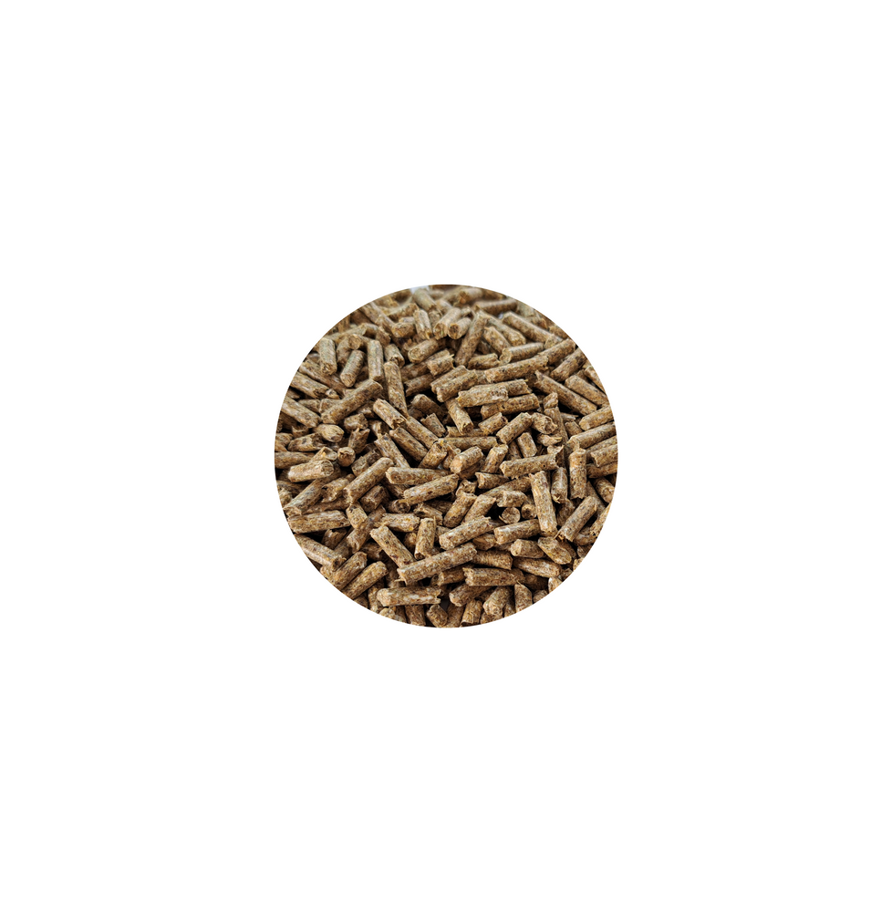 Daily Comfort ESSENTIAL BIOFEED Horse & Pony