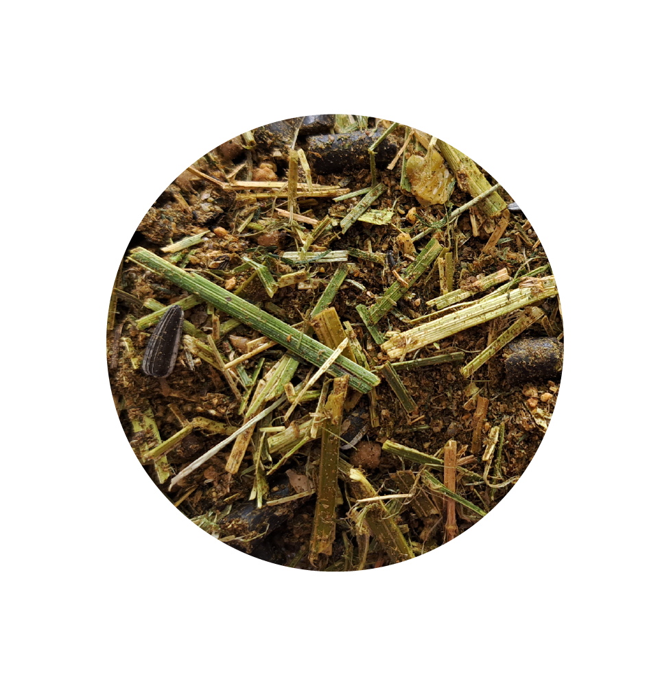 Active Grain Free Musli BIOFEED Horse & Pony