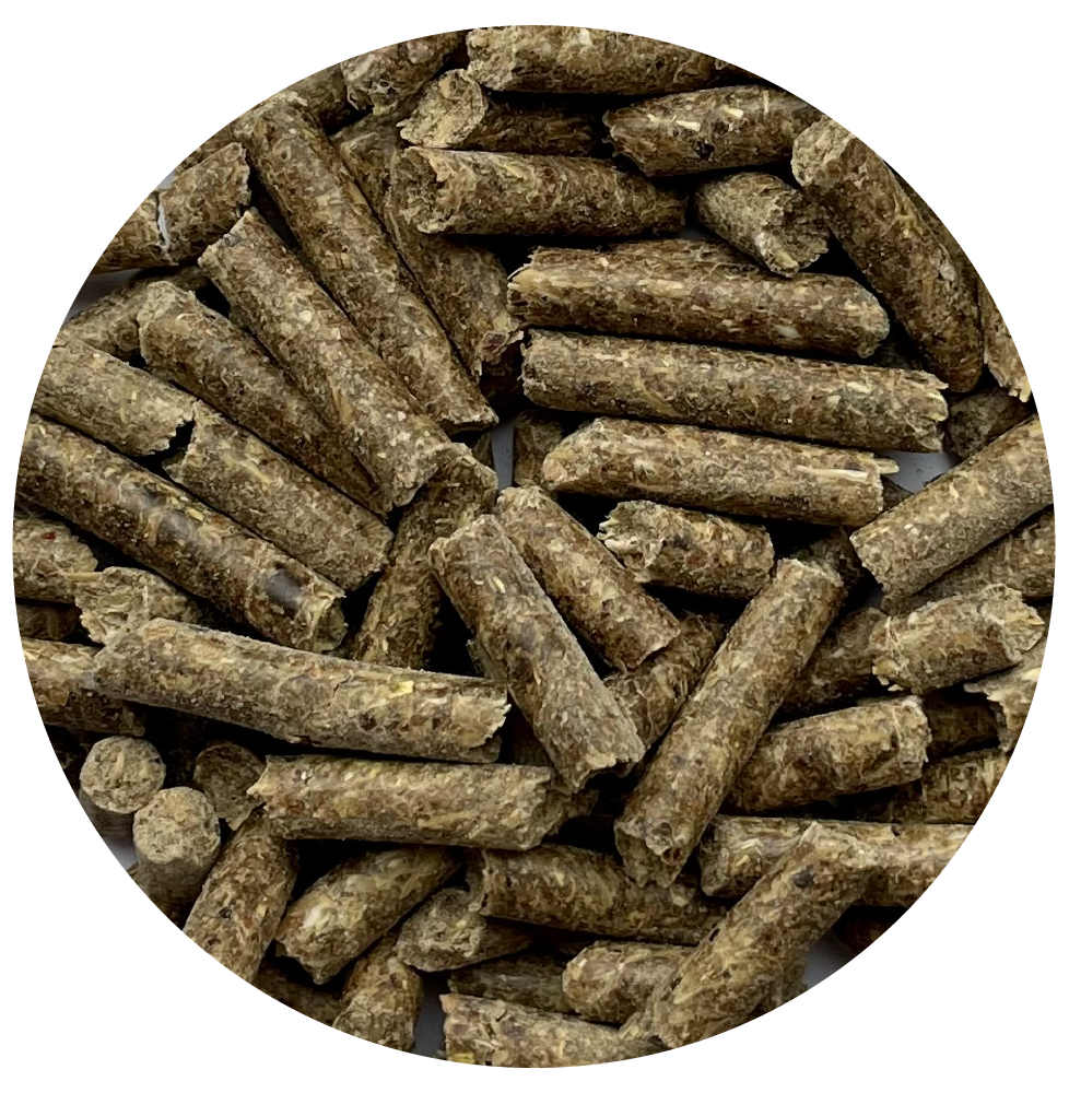 Pasza dla koni granulat Traditional Pellets BIOFEED Horse & Pony