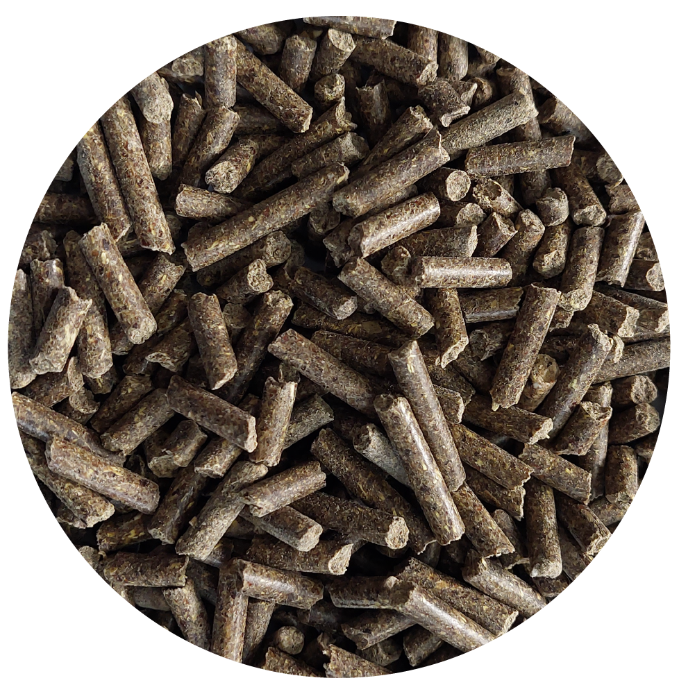 Sensitive Pellets Grain Free BIOFEED Horse & Pony