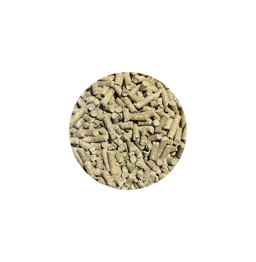 Vitamins & Minerals BIOFEED Horse & Pony