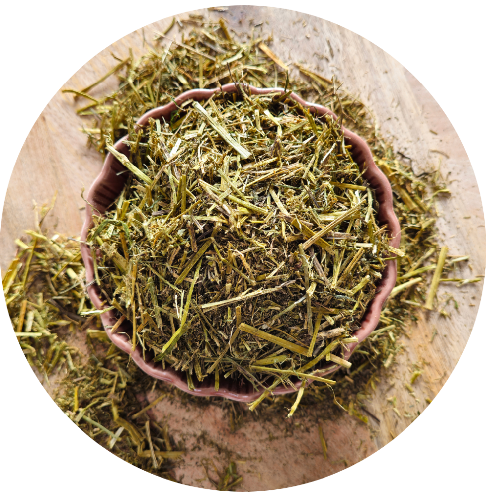 Sieczka z lucerny bez melasy Alfalfa with canola oil BIOFEED Horse & Pony