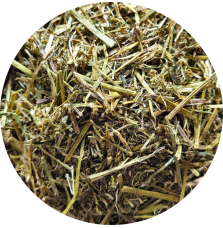 Sieczka z lucerny bez melasy Alfalfa with canola oil BIOFEED Horse & Pony