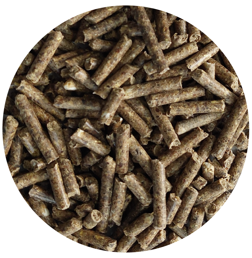 Whole Grain Pellets 1 kg BIOFEED Horse & Pony