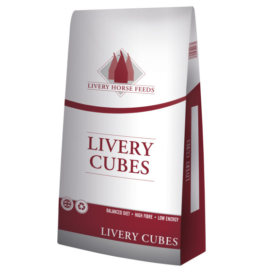 Granulat Livery Cubes Saracen