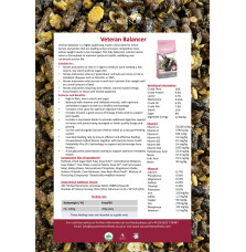 Veteran Balancer Saracen