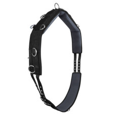 Pas do Lonżowania York