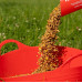 Pasza 14% Stud Mix Red Mills